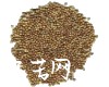 微信小程序开发公司